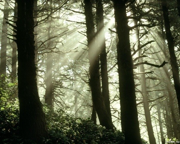 Кирюха Каддо | 