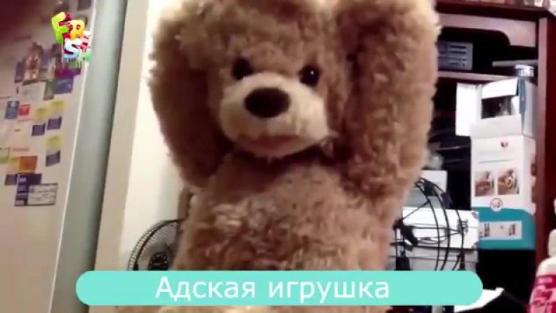 Fresh funny video compilation COUB 20 Свежая подборка смешных видео COUB