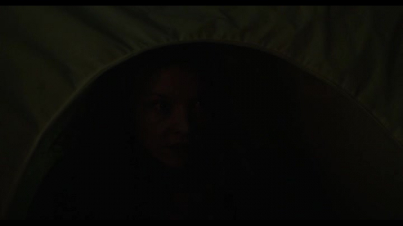 The Forest (2016) WEB DLRip UKR ENG