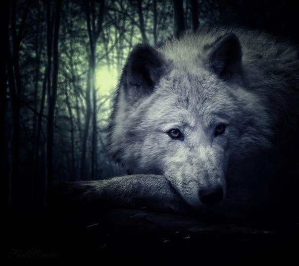 Иля Аксенов, Россия, Самара