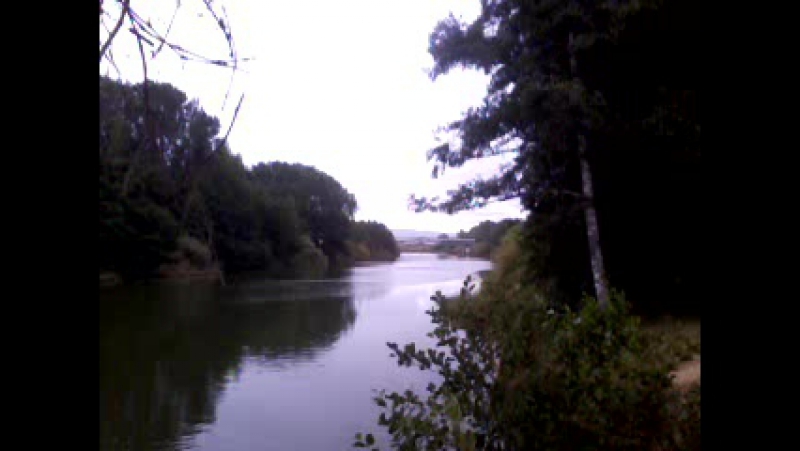 PUENTE CAU CAU VALDIVIA PARTE.