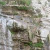 Аватар: Инесса Пересторонина