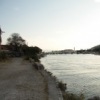 Аватар: Majkel Szwako