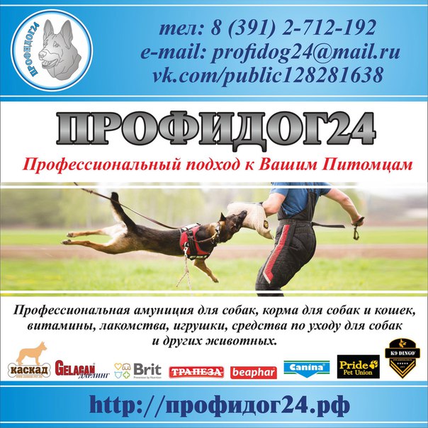 Профидог Интернет Магазин Красноярск