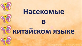 Насекомые в китайском языке. Видео-словарь. 昆虫