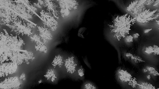 NERATERRÆ – Shadows Of Regret [feat. Northaunt] [Official Music Video]