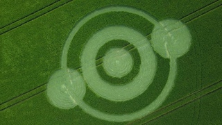 Crop Circle Norridge Wood Warminster Reported 22/05/2019
