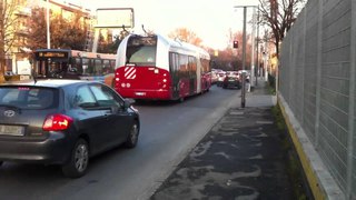 Civis Bologna