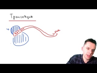 Синтез белка |  ЕГЭ  | Прямая трансляция
