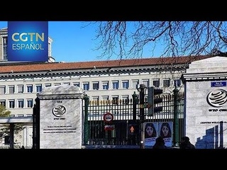 China lamenta decisión de la OMC de fallar a favor de EE. UU. en caso de subsidios agrícolas