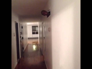 Parker Kit Hill - Suck my ass vine