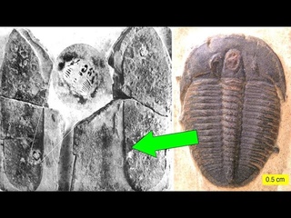 These Old Ancient Technologies And Discoveries That Amazed Scientists