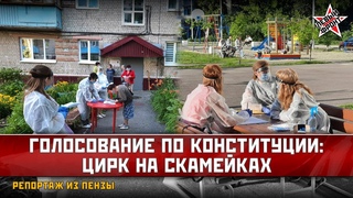 Голосование по Конституции: Цирк на скамейках. Репортаж из Пензы
