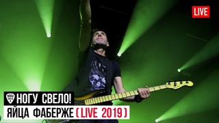 Ногу Свело! - Яйца Фаберже (Live 2019)