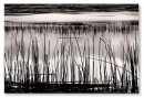 Фотография Ost Olha