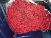 №37 Julia Fornaro 18.02.1989: профиль, фото, статус - ВКонтакте