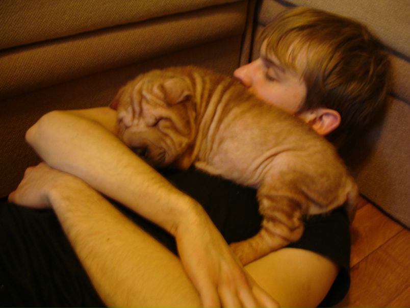 №64, Димитрий Коростелев №64, Димитрий Коростелев