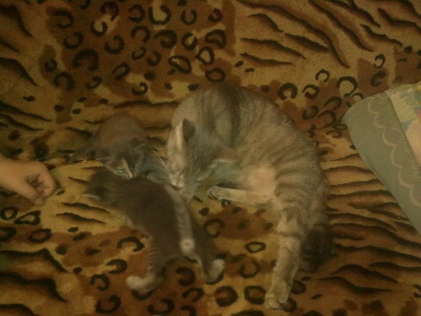 №8, Влад Козлов, Самара №8, Влад Козлов, Самара