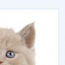 №44, Андрей Иванов, 13.04.1996 №44, Андрей Иванов, 13.04.1996