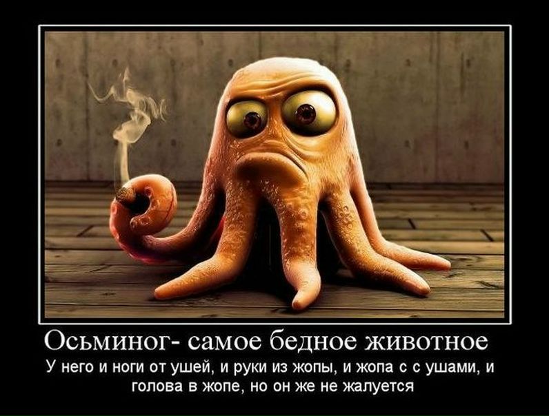 №88, Стас Федоренков №88, Стас Федоренков