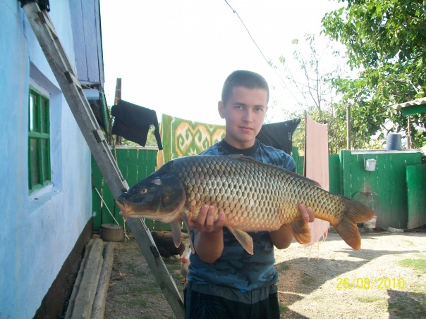 №15, Дима Сторожук, Groningen №15, Дима Сторожук, Groningen