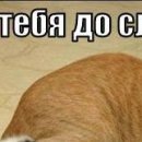 №12, Михаил Войтик, 28 лет, Минск №12, Михаил Войтик, 28 лет, Минск