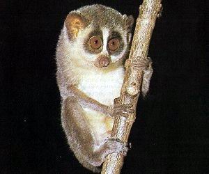 №73, Александр Зайцев, 36 лет, Санкт-Петербург №73, Александр Зайцев, 36 лет, Санкт-Петербург