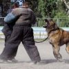 Аватар: Вадим Хабеков