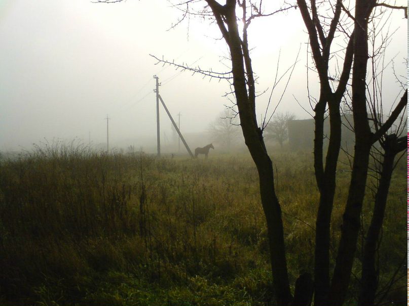 Толег Чернякофф | Гусиноозерск