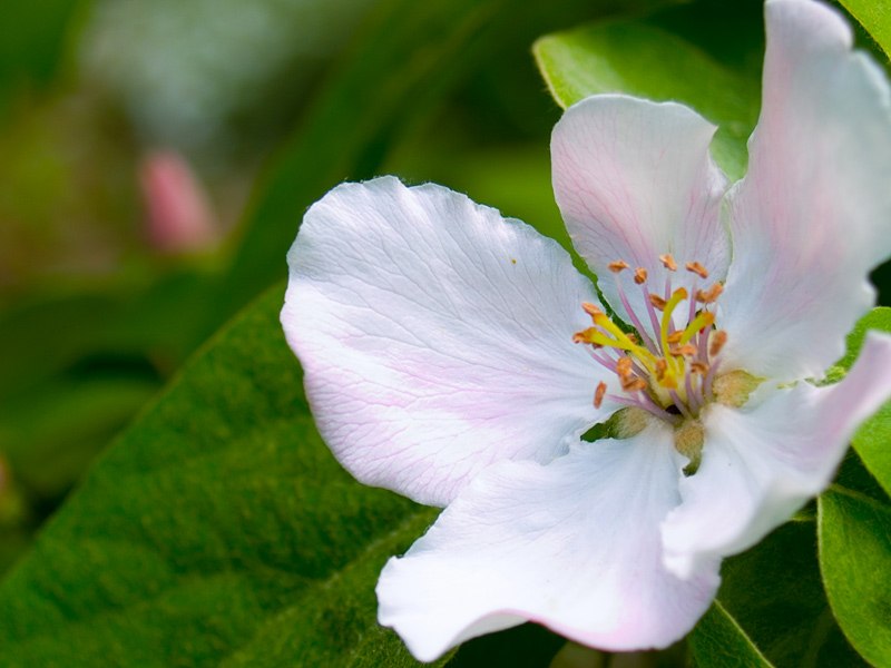 Татьяна Тузкова | Новосибирск