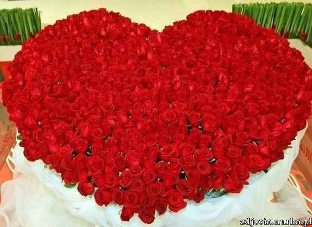 Виктория Димчева | Киев