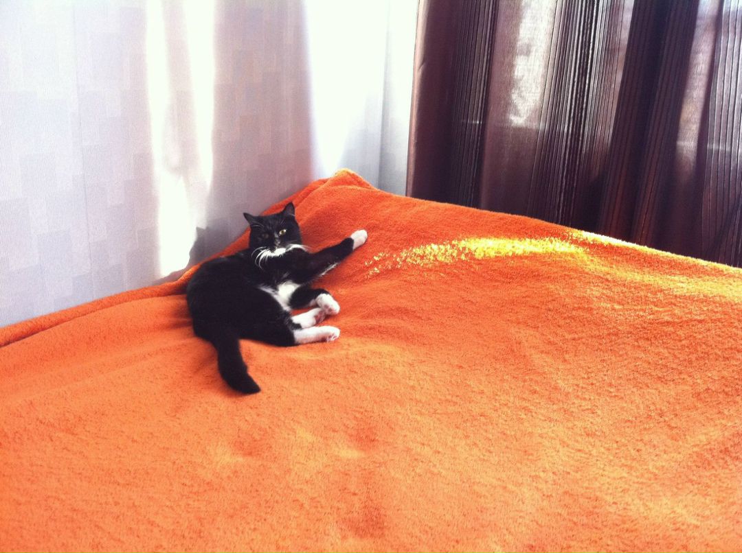 Даниил Бабак | Москва