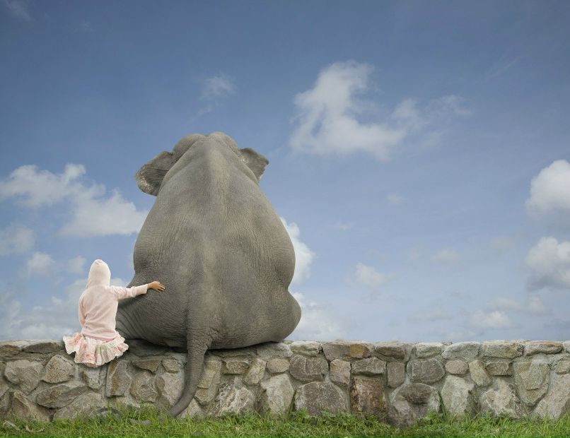 Серёжа Ватрушкин | Москва