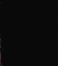 №40, Ольга Покрышкина, Псков №40, Ольга Покрышкина, Псков