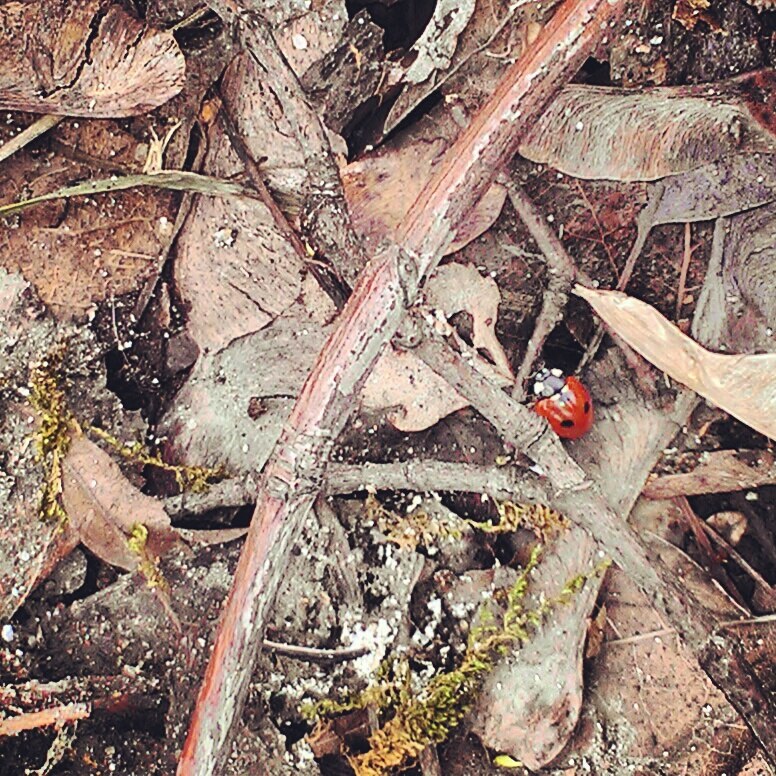 Лилия Заббарова | Москва