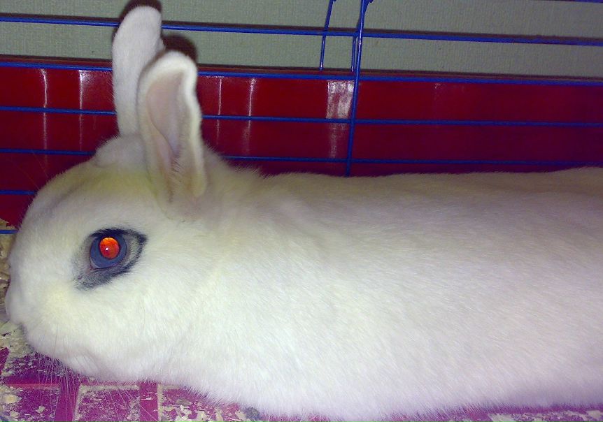 №185, Ника Калачёва, 34 года, Москва №185, Ника Калачёва, 34 года, Москва