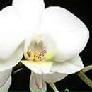 Екатерина Клименко | Киев