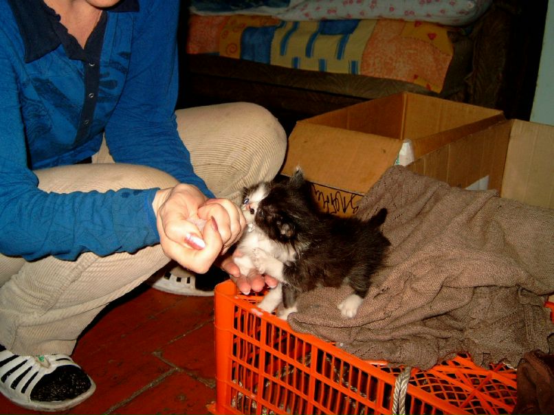 Olga Odintsova ViP-------=- | Красноярск