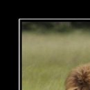 №100, Валентина Полякова №100, Валентина Полякова