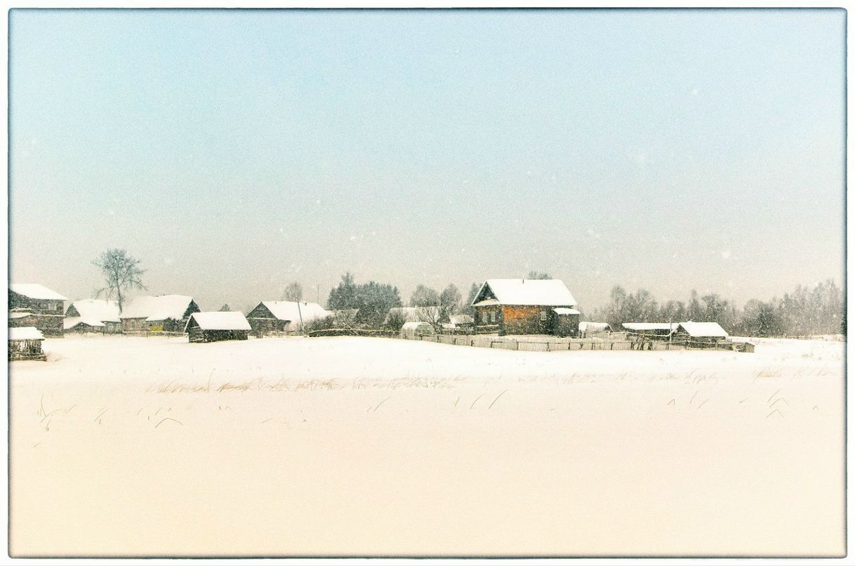 Родион Николаев | 