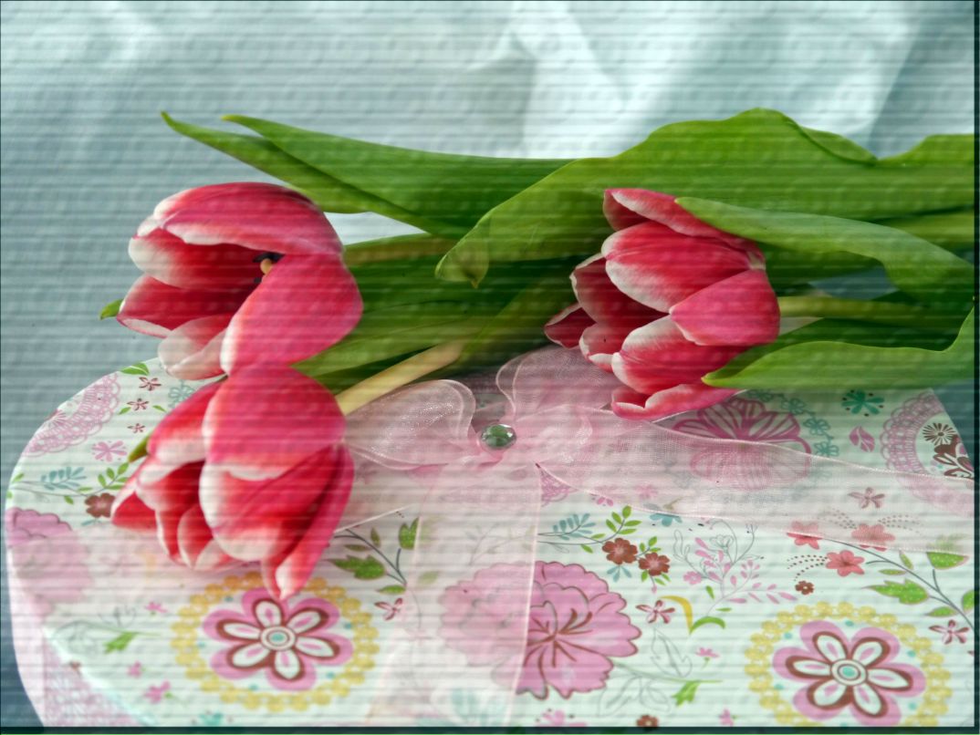 Екатерина Материкина | Самара