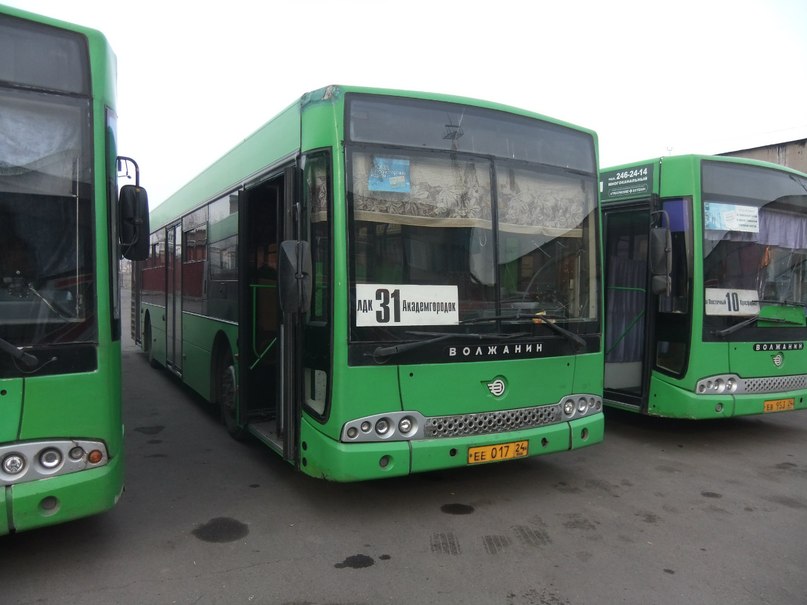 Вовчик Колёсиков | Санкт-Петербург