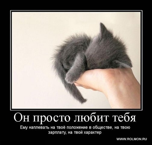 №12, Юлия Новикова №12, Юлия Новикова