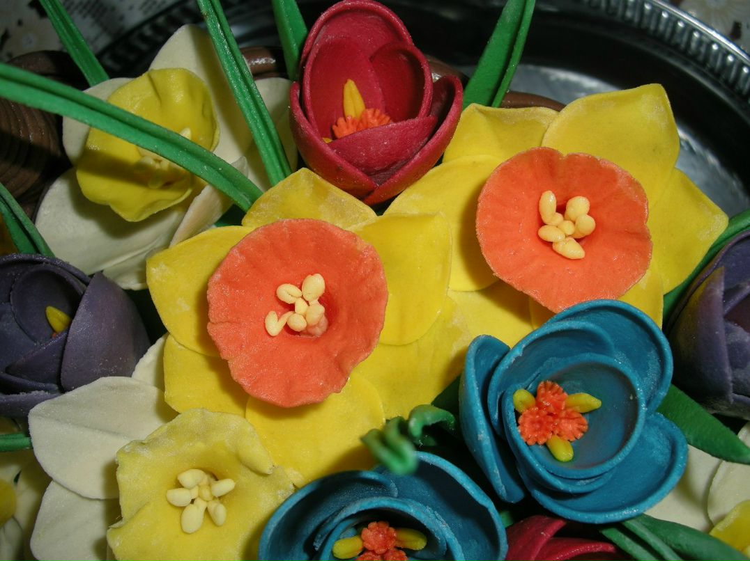 Елена Рак | Бровары