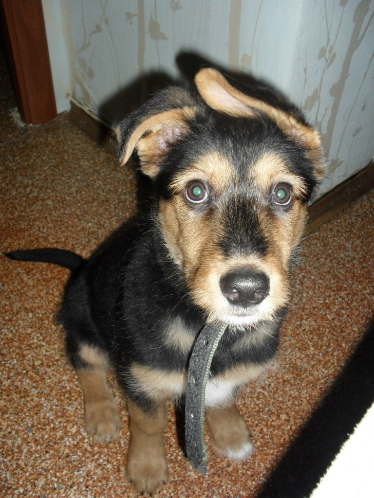 Виталия Кононова | Видное