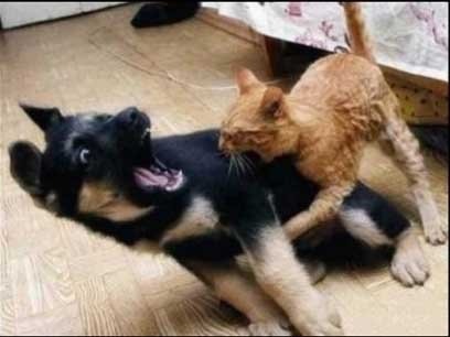 №138, Наталья Гусева, Киев №138, Наталья Гусева, Киев