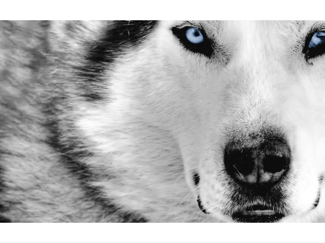 Роман Сергеев | 