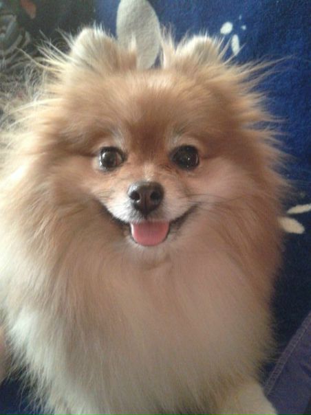 №55, Александра Курганова, Москва №55, Александра Курганова, Москва