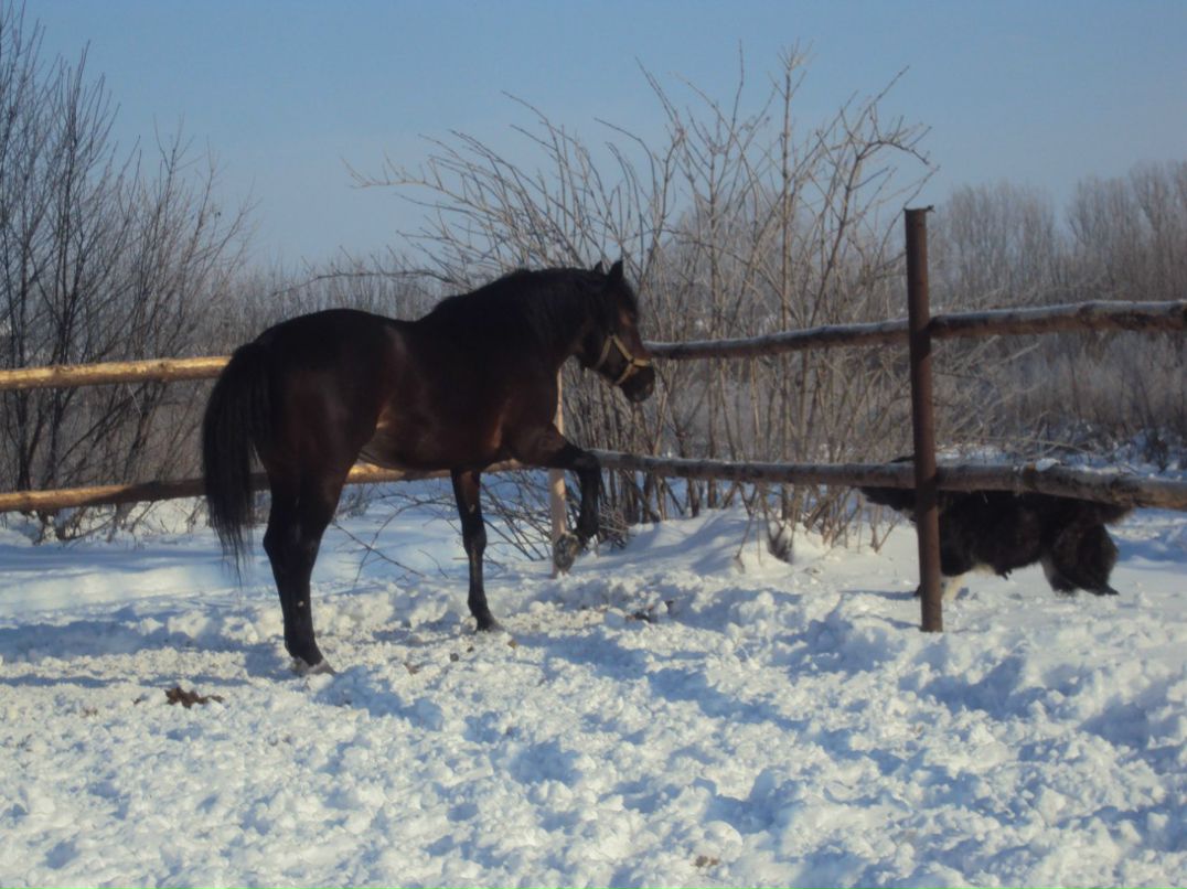 Ира Демидюк (Енина) | Ровно