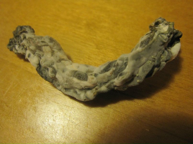 Коля Мазилин | Москва